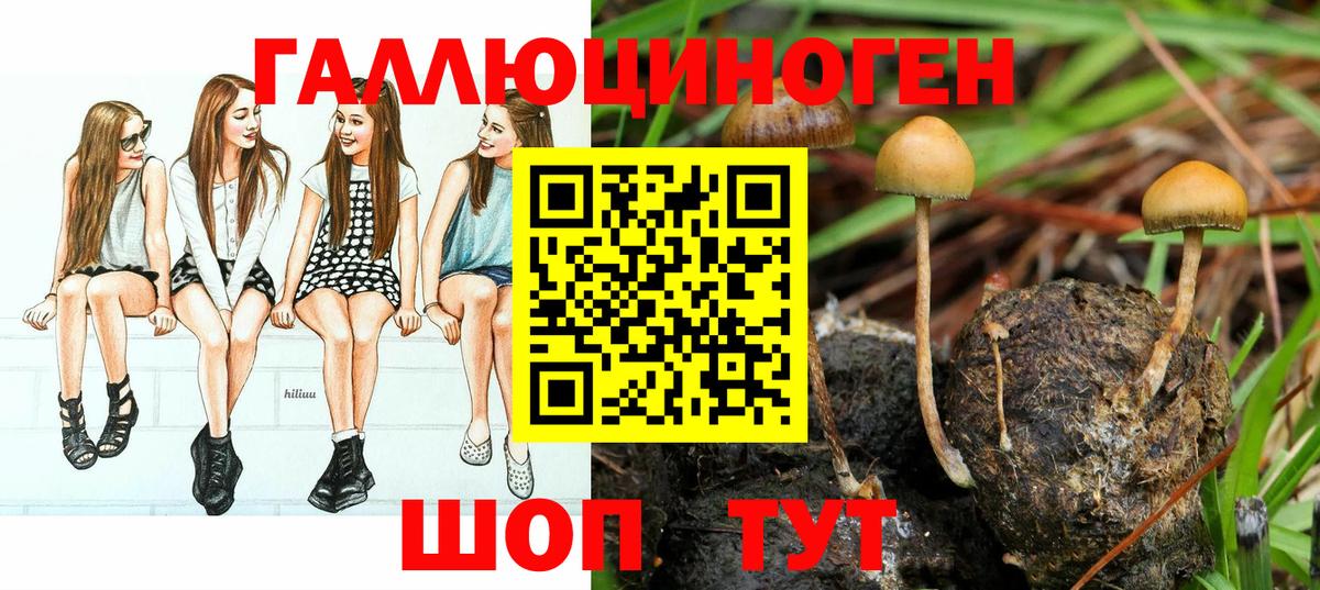 Псилоцибиновые грибы ЛСД  Псилоцибиновые грибы прущие грибы  цена наркотик  Благовещенск  Вход с VPN 